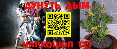индика Краснокаменск