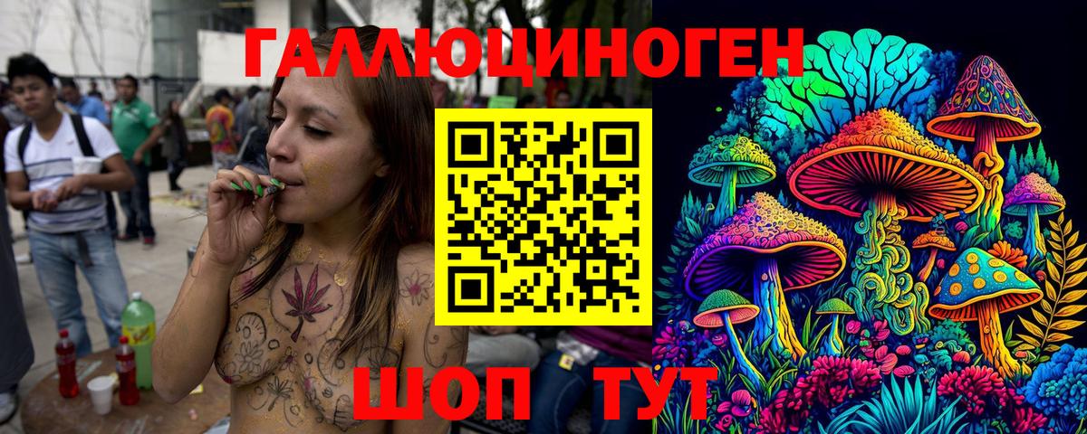 Псилоцибиновые грибы Psilocybe Тимашёвск
