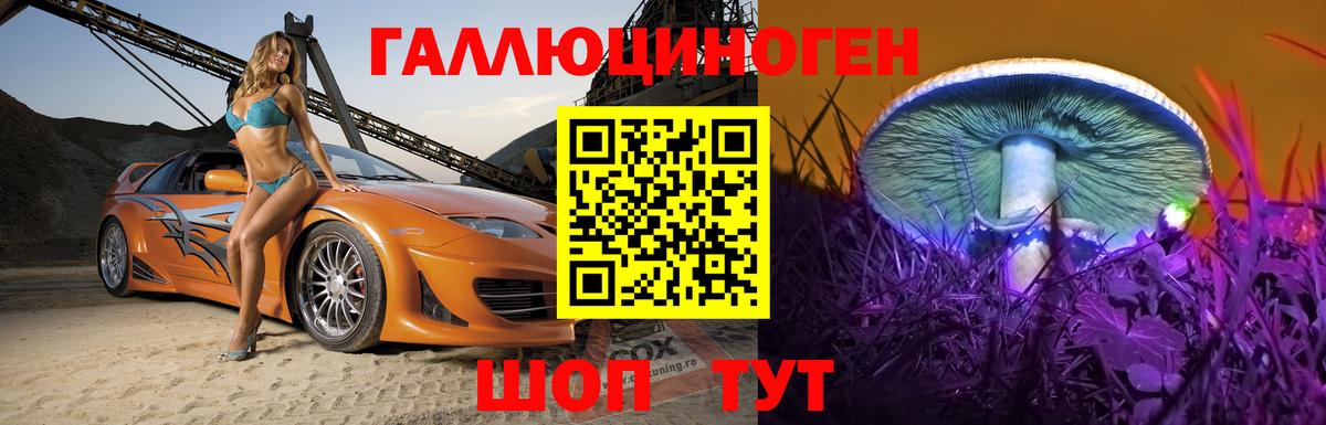 закладки  Вход с VPN  Тимашёвск  Псилоцибиновые грибы GOLDEN TEACHER 